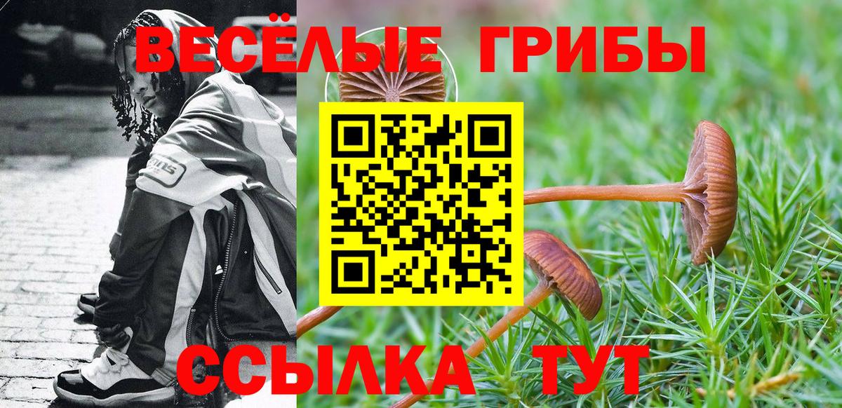 Галлюциногенные грибы GOLDEN TEACHER  Псилоцибиновые грибы Magic Shrooms  Вход с VPN  Алейск 