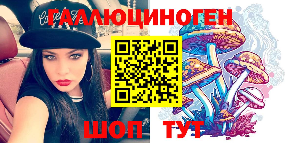 Галлюциногенные грибы Psilocybine cubensis Алейск